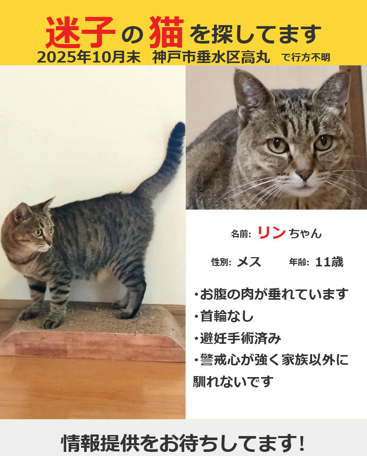 千代にゃあ八千代にゃ (@steve84272869) / Posts / X