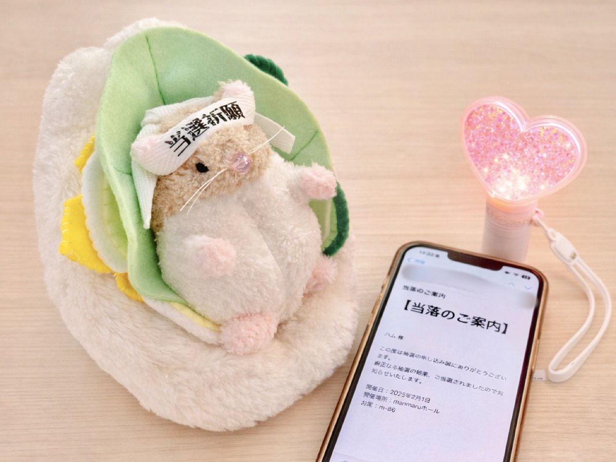 ハムはあなたの推し活も応援します🐹🔥