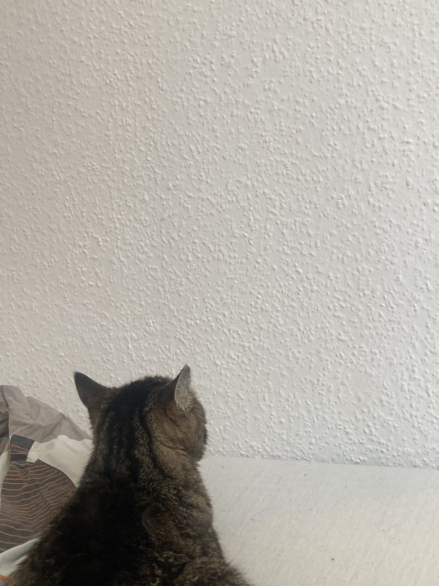 marie 💤 tweet media