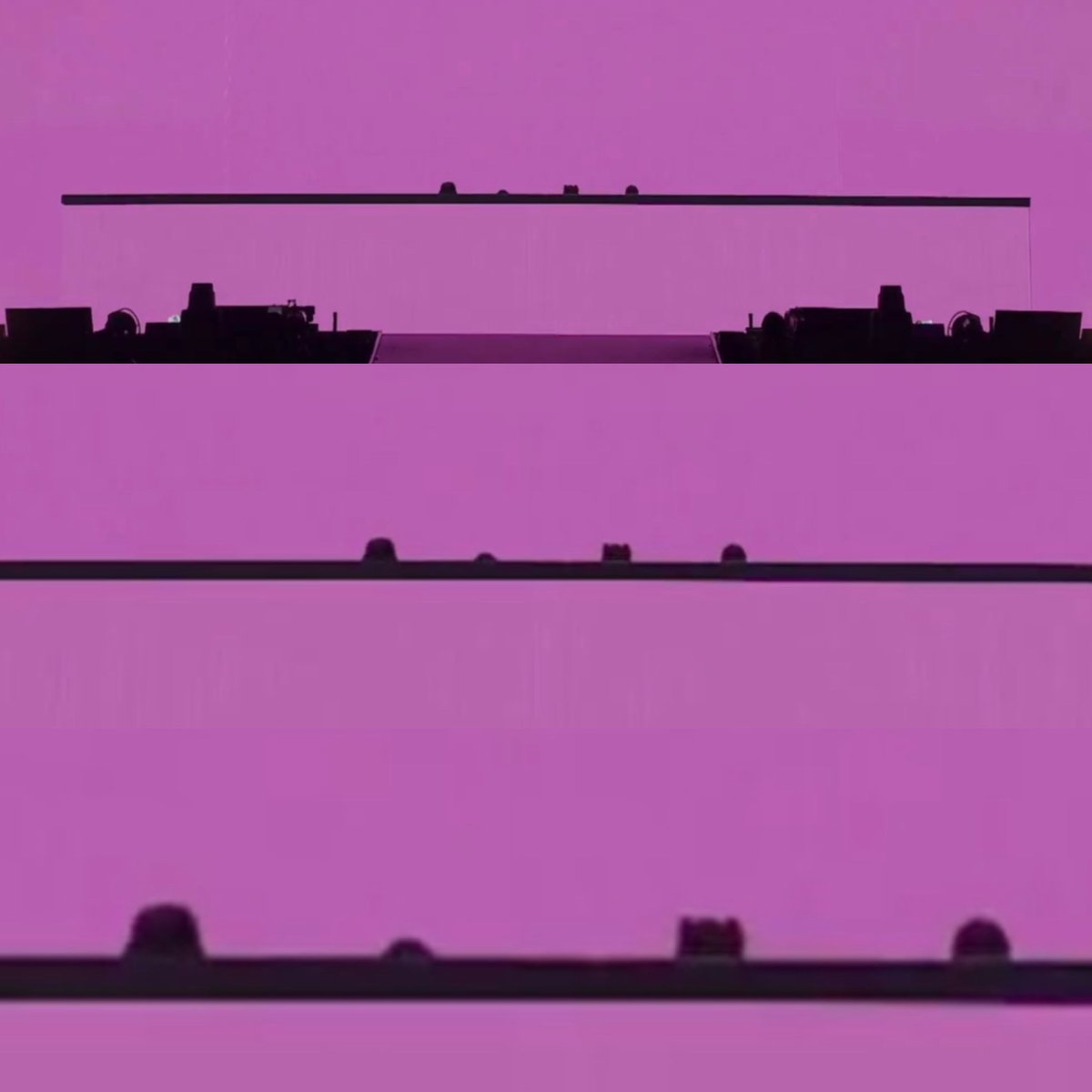 레프트에서 대기타는데 카리나 아이린 슬기 윈터 키 순서대로 머리나온거 차이나는게 ㅈㄴ기여워 웃음남미친