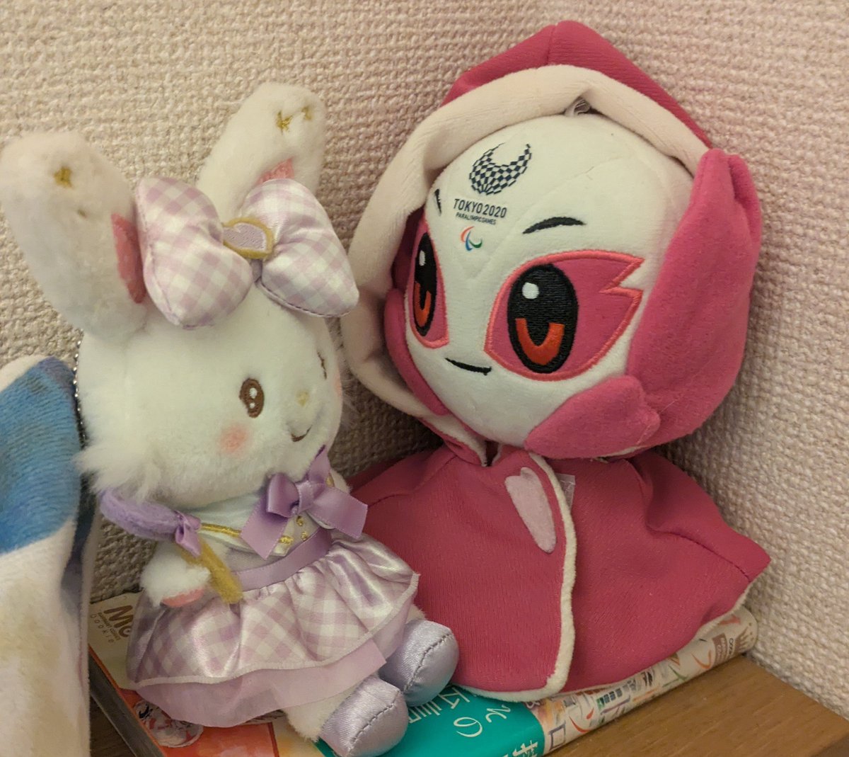 ソメちゃんにお友だちができました！ #ソメイティ #ウィッシュミーメル