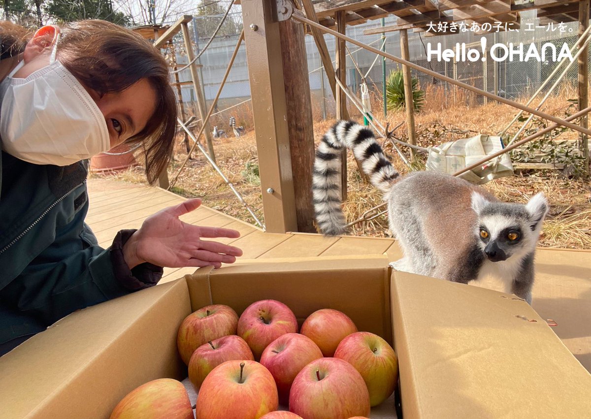 匿名発送、オハナッス　OHANAS デンジャラスコミット 匿名発送、オハナッス OHANAS デンジャラスコミット adidas