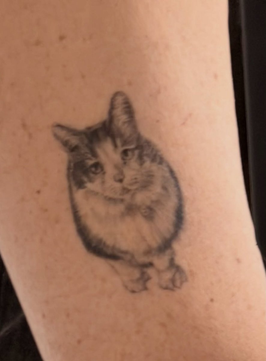 David Baddiel tweet media