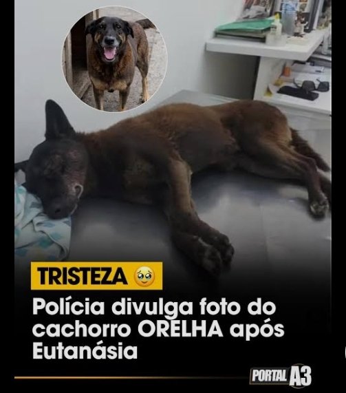FEDERALIZAÇÃO DO CASO ORELHA