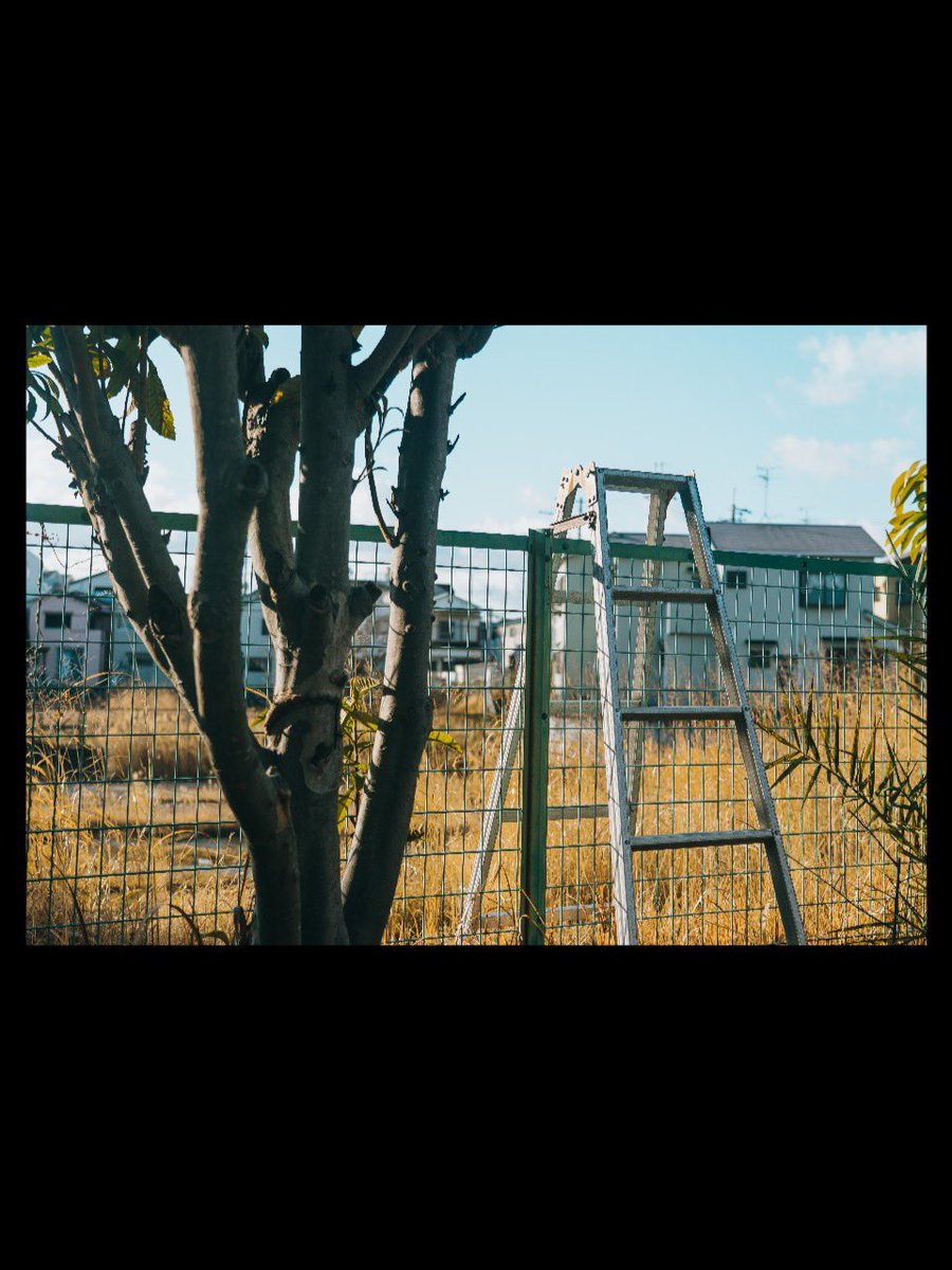 sei_photography's tweet photo. 静貌 https://t.co/AC66BQRgRl