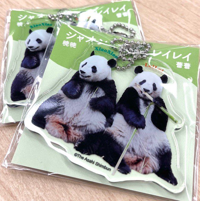 おはようございます！ 本日より、写真集『いつまでもなかよし