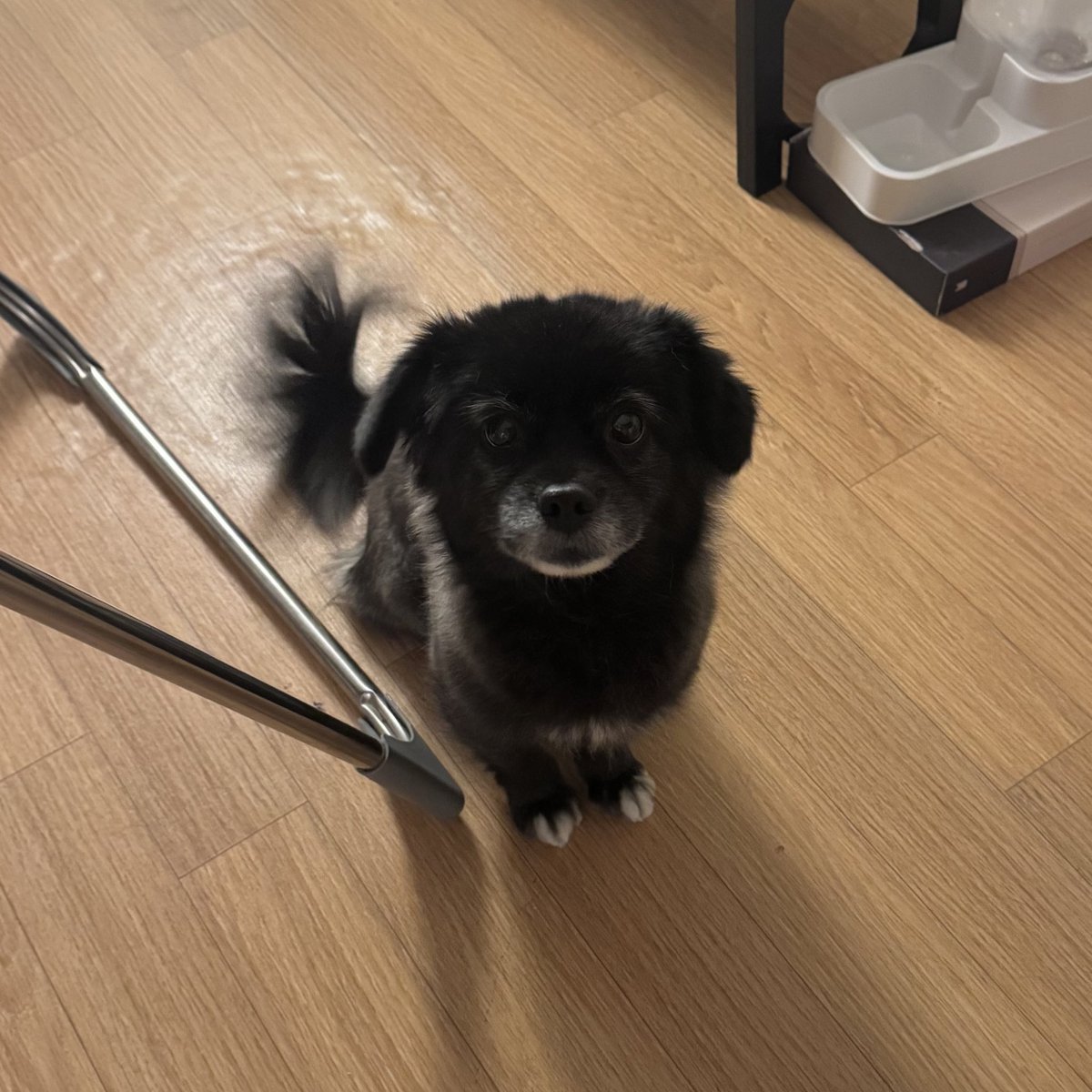 언니만 밥을 먹는 이유는
너는 이미 아까 저녁을 먹었기 때문이야