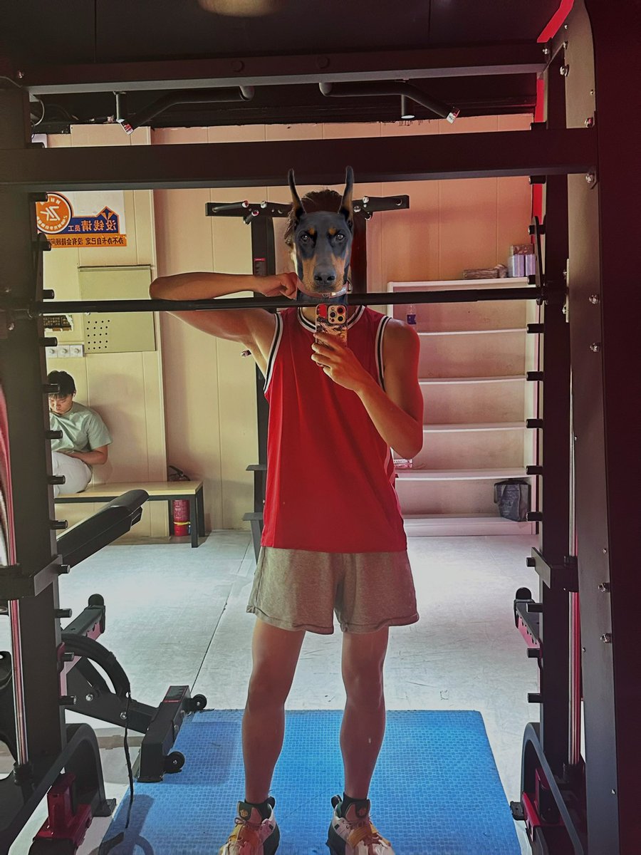 黑鸽（收🐶版） tweet media