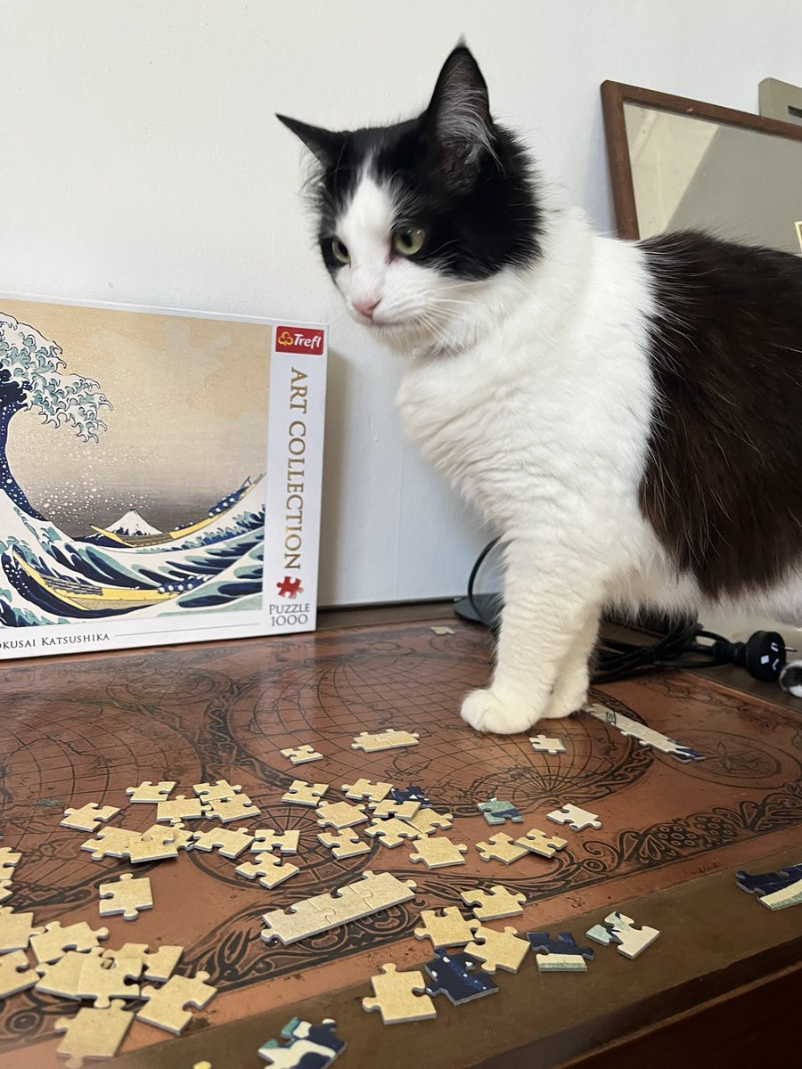 littlebugcat's tweet photo. new house…….feeling Puzzled! https://t.co/81bCeM7gX9