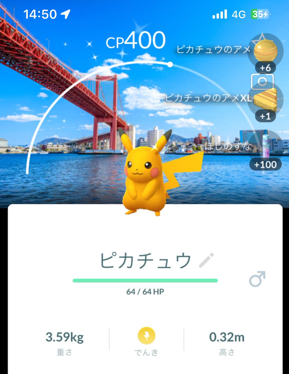 かぶかぼちゃ🤳🐢腹痛← tweet media