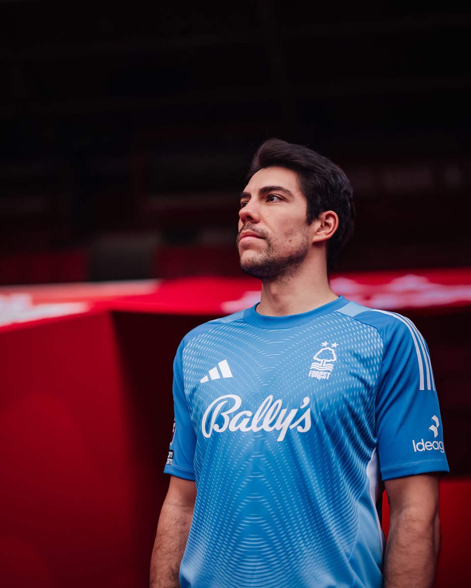 Talking Forest tweet media