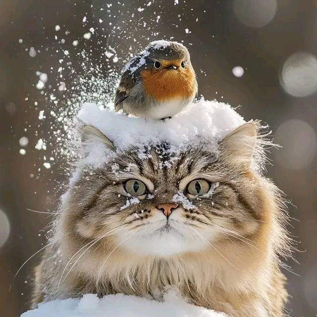 IvvLen's tweet photo. #НоваяАватарка https://t.co/JtPrda9hG6