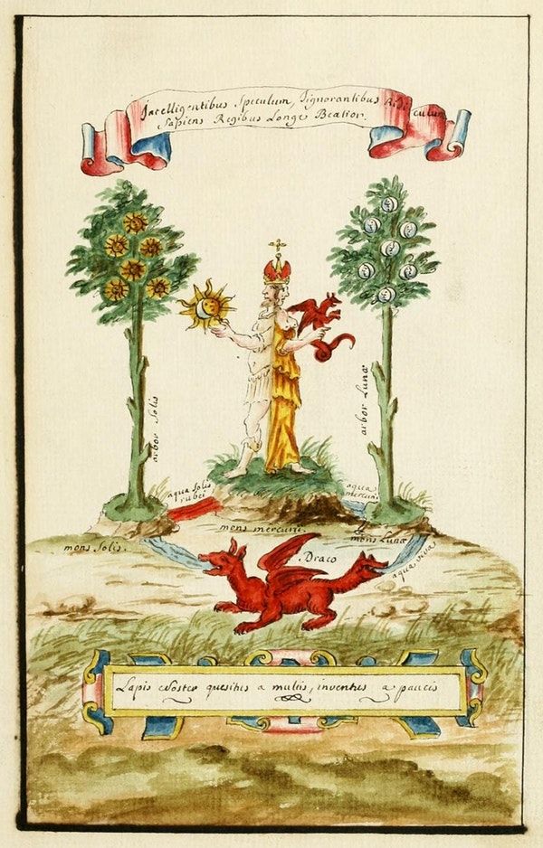 ARSGRAVIS. tweet media