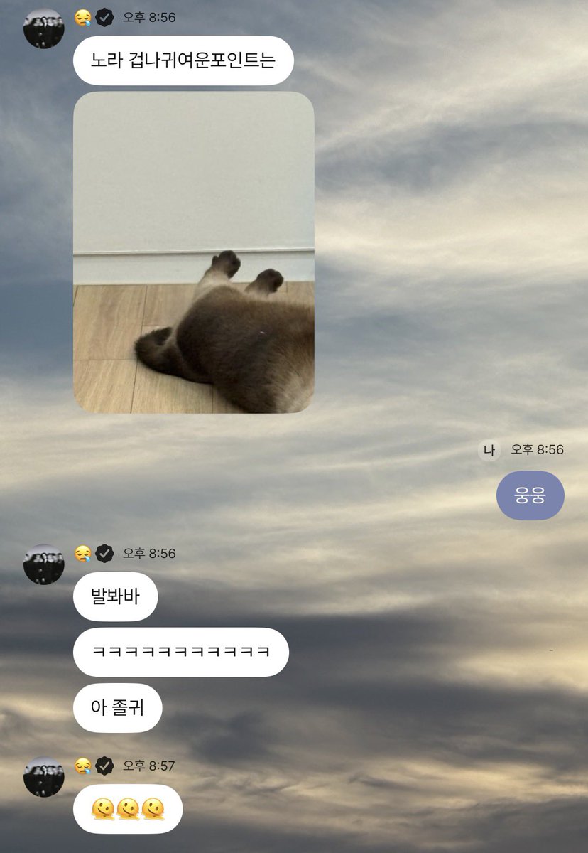 p4rk1if3's tweet photo. 이런거너무좋다고... 
자기혼자신나서 막 말하거...

아니 나이제 노라발사진어디서봐야돼... https://t.co/Wg2eR3fv1l