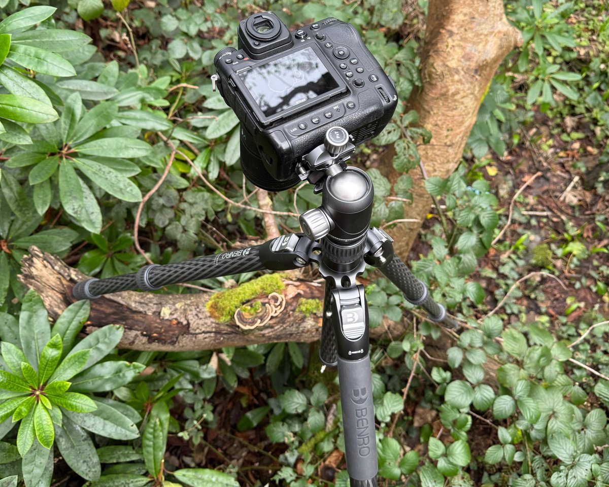 SeansShots tweet media