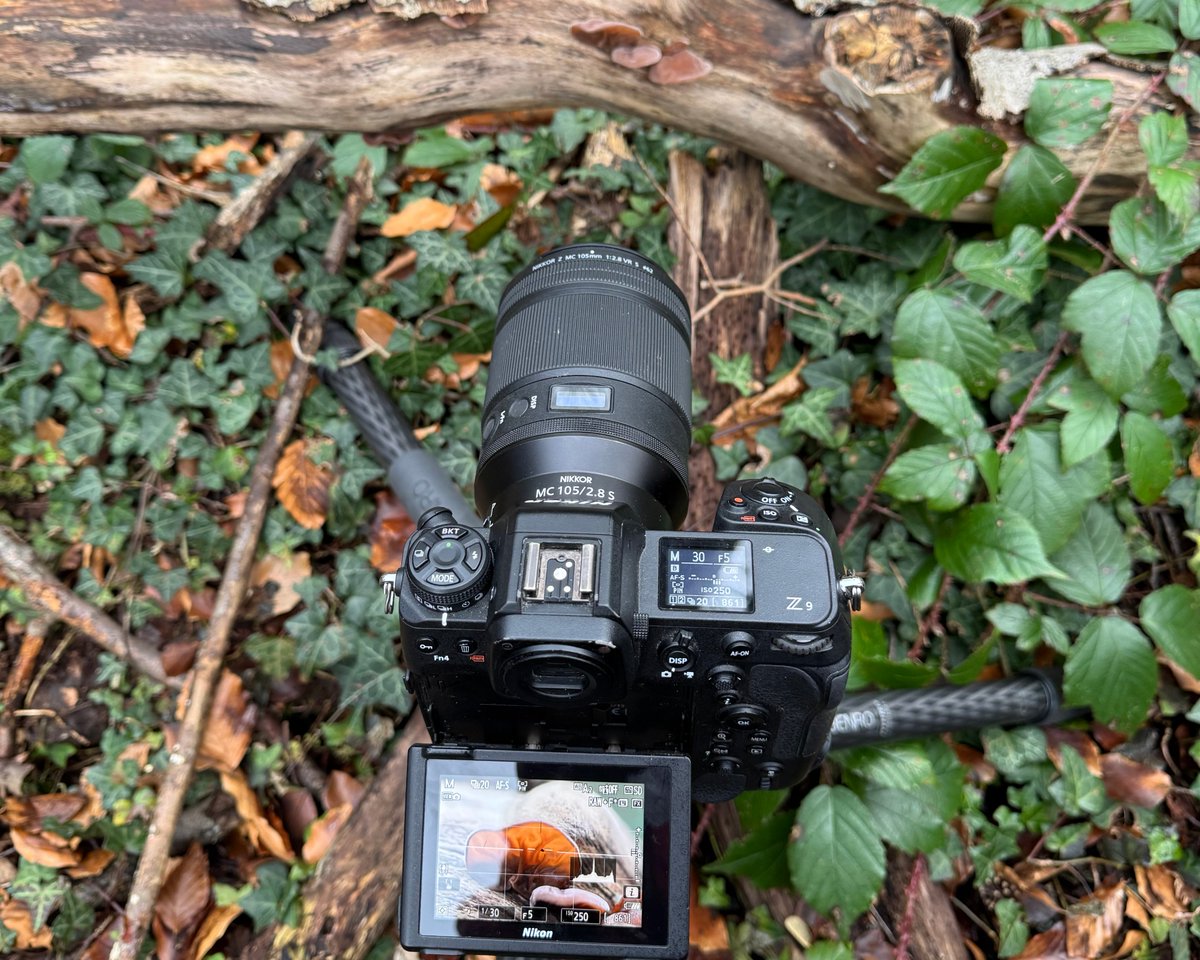 SeansShots tweet media