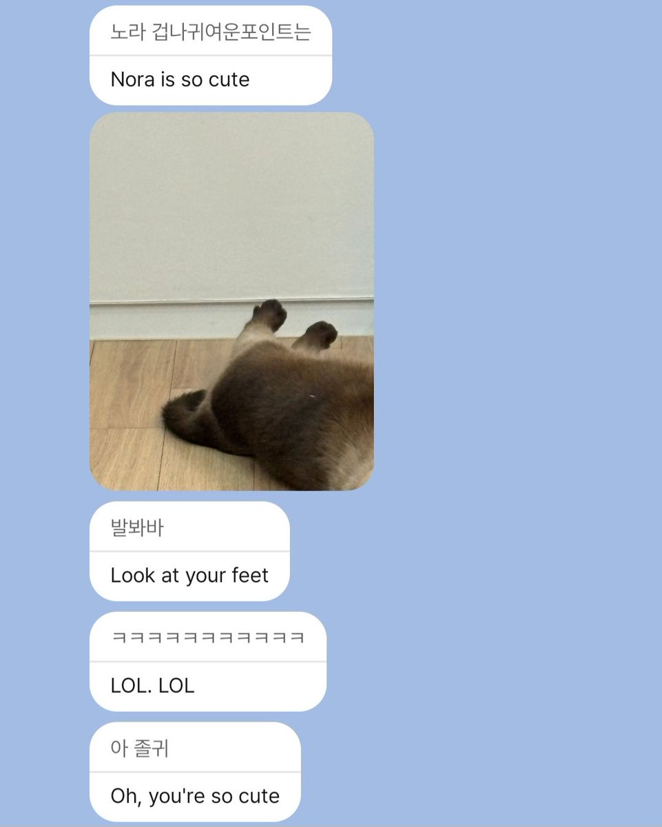 coconutverbena's tweet image. jaebeom is such a fool for Nora 😂