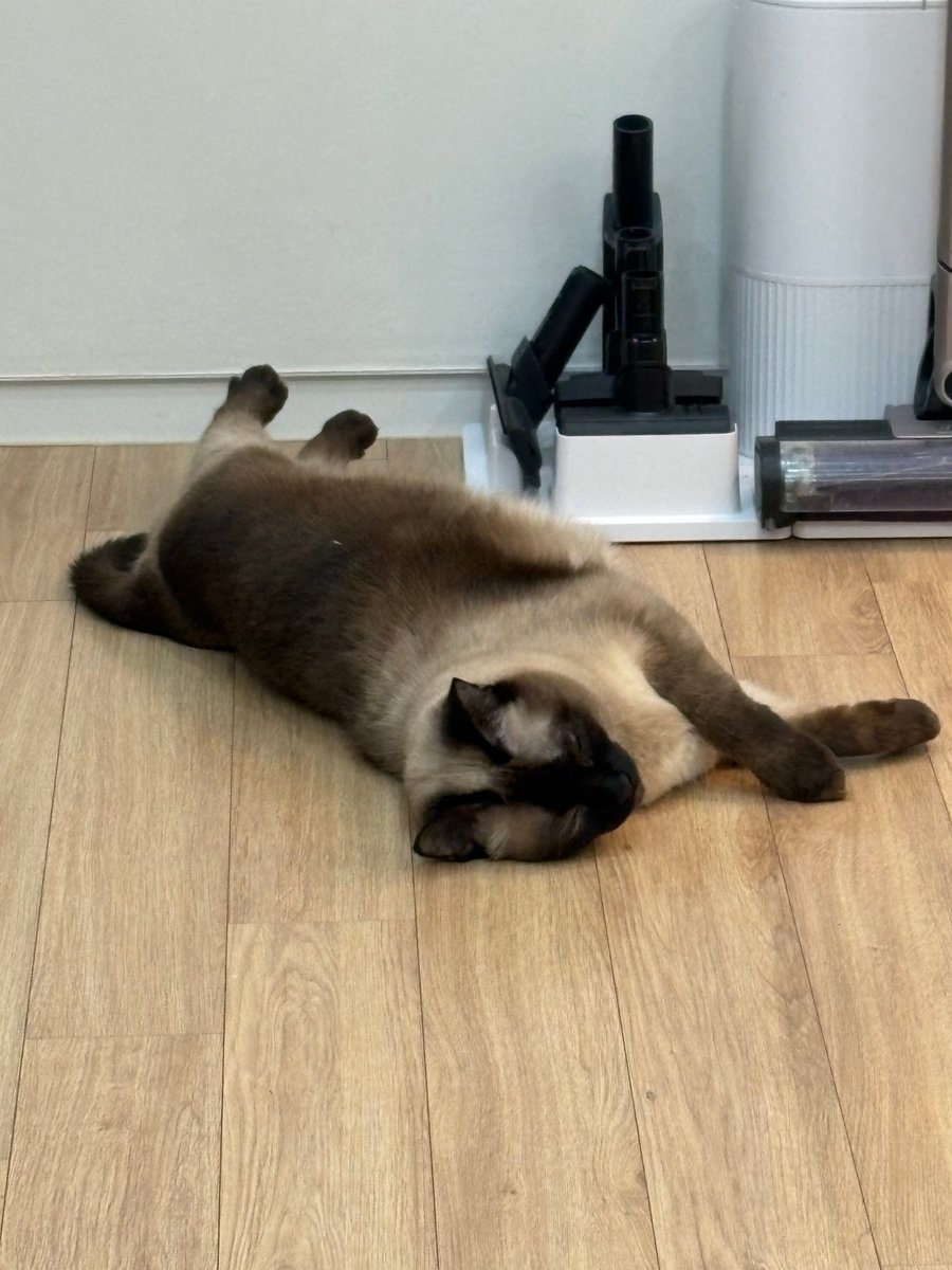 coconutverbena's tweet image. jaebeom is such a fool for Nora 😂