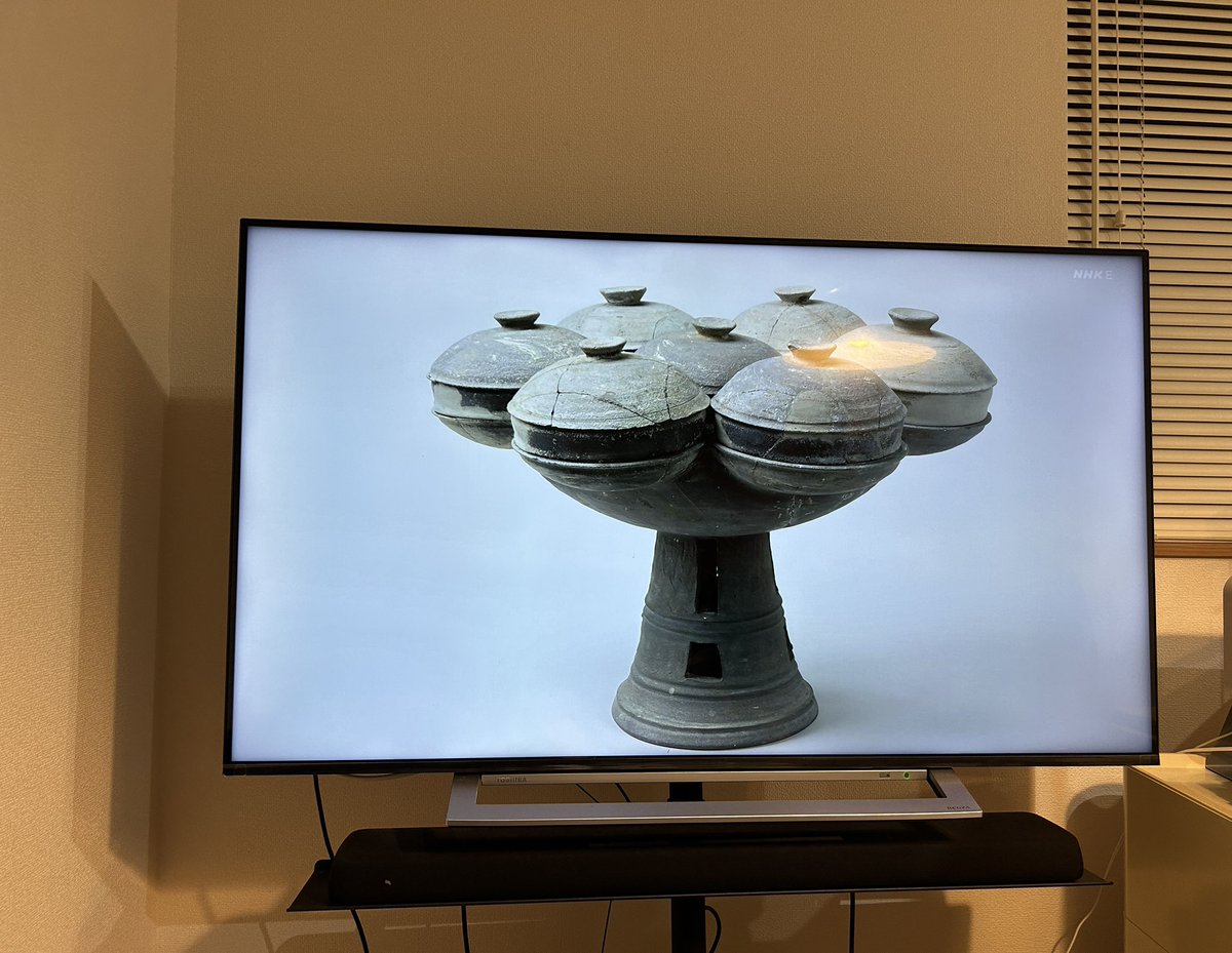 ⍴⌠⎰⊺⍴⊺⌠⏥犬の専門店 tweet media