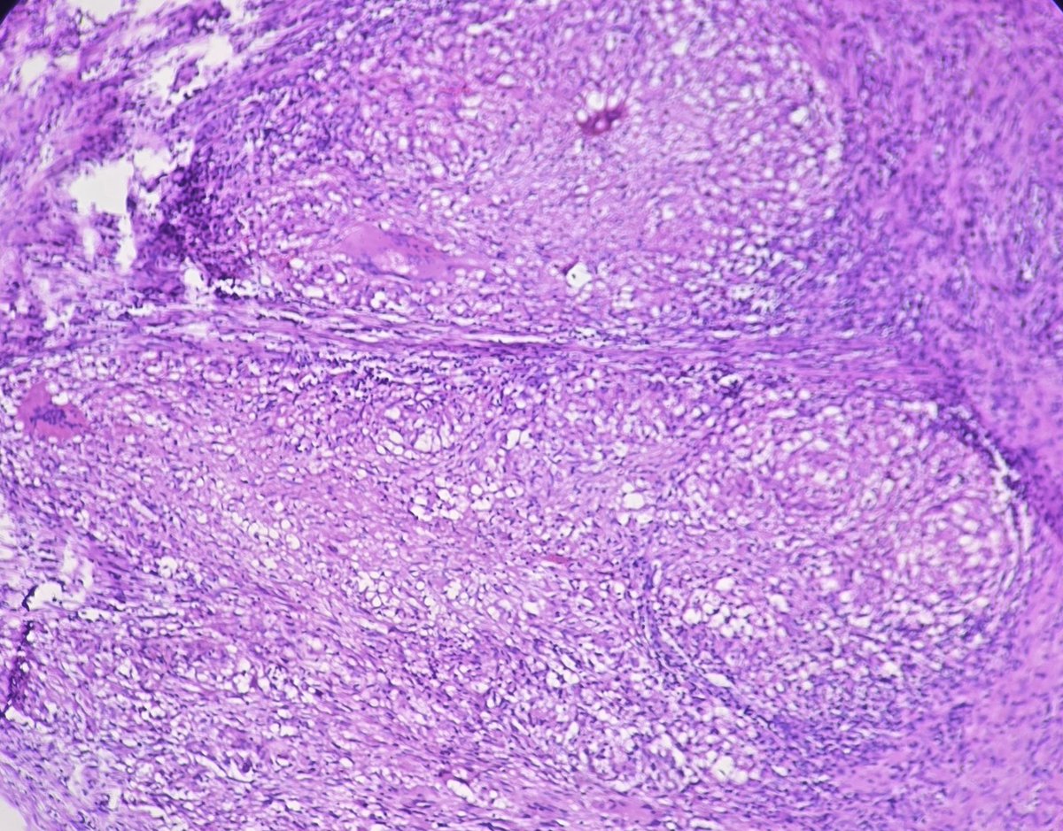 aung phyo tweet media