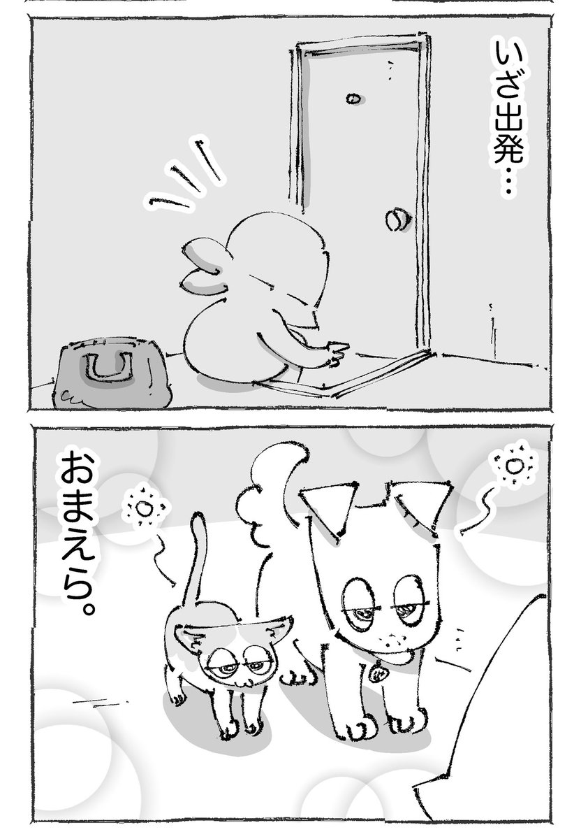 【1/2】 