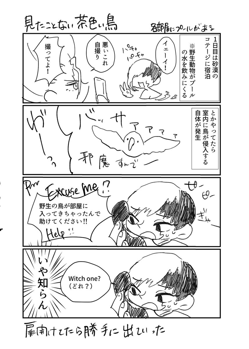 からみ tweet media