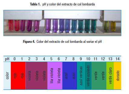 RSEQUIMICA's tweet photo. 👩‍🔬🧑‍🔬 Experimentos | Estudio de sustancias naturales como indicadores de pH. Propuesta didáctica. 
📙An. Quím. 2020, 116 (2).
➡️https://t.co/M5Kxy5sOHd https://t.co/17f2DI7ahU