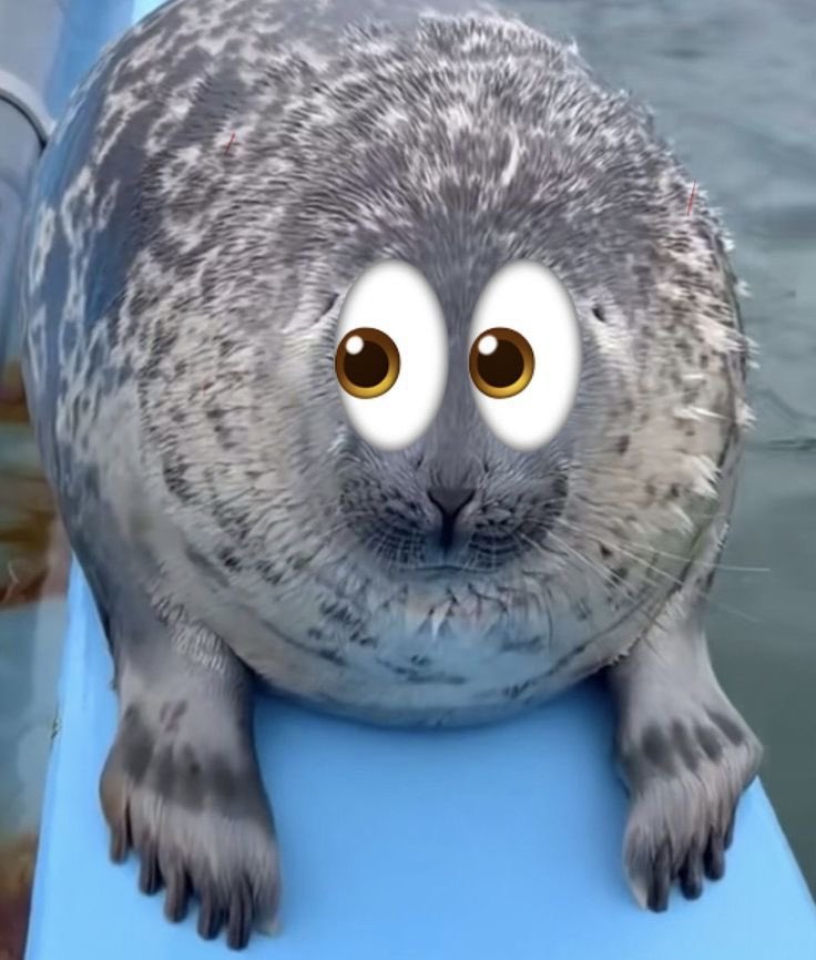 girintteoki's tweet image. 👀👀👀👀👀👀👀👀👀👀👀👀👀👀