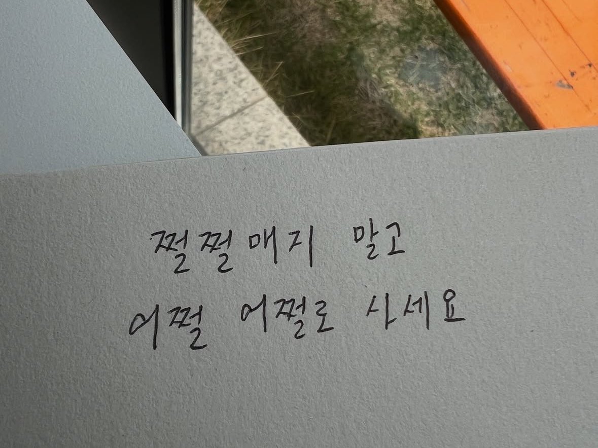 수. tweet media