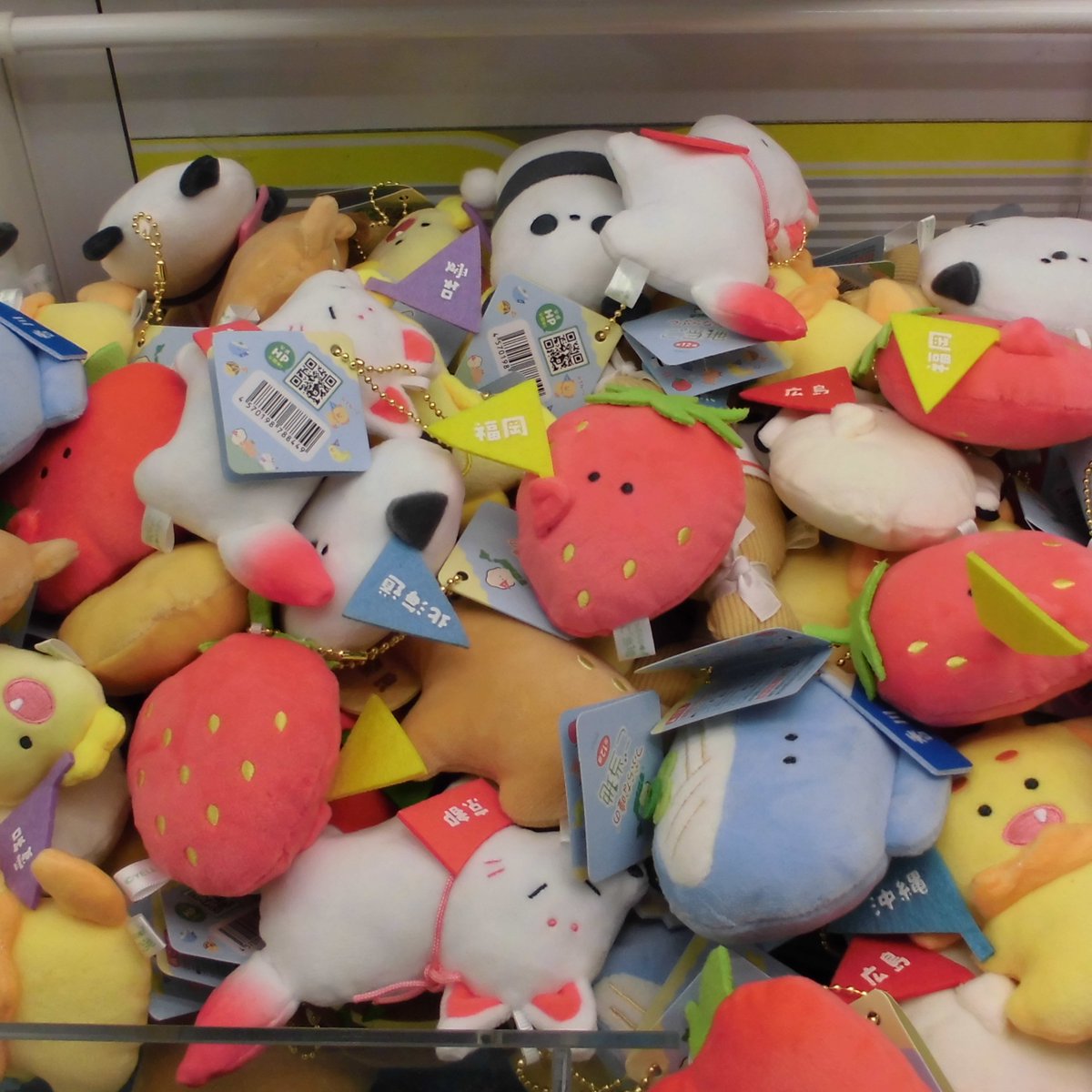 30円キャッチャー入荷案内🤩

つぶらな瞳のご当地

#つぶらな瞳 
#YELL 
#エール 
#エール縁日屋