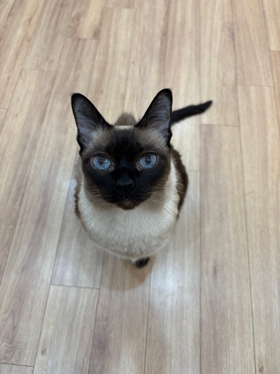 imjaebooms's tweet image. 260201 #JAYB pop chat 💬 

Nora 🥹🫶🏼