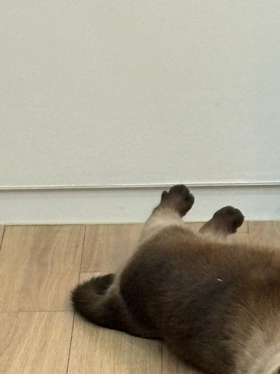 imjaebooms's tweet image. 260201 #JAYB pop chat 💬 

Nora 🥹🫶🏼