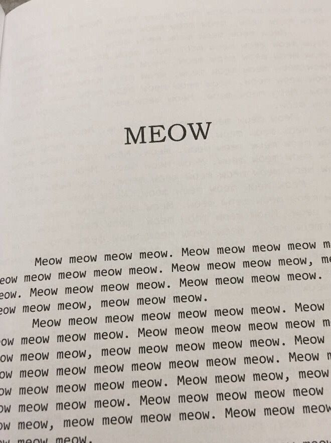 meowww😭😭😭😭😭😭😭😭😭😭😭😭😭😭😭😭😭😭😭😭😭😭😭😭😭😭😭😭😭😭😭😭😭😭😭😭😭😭😭😭