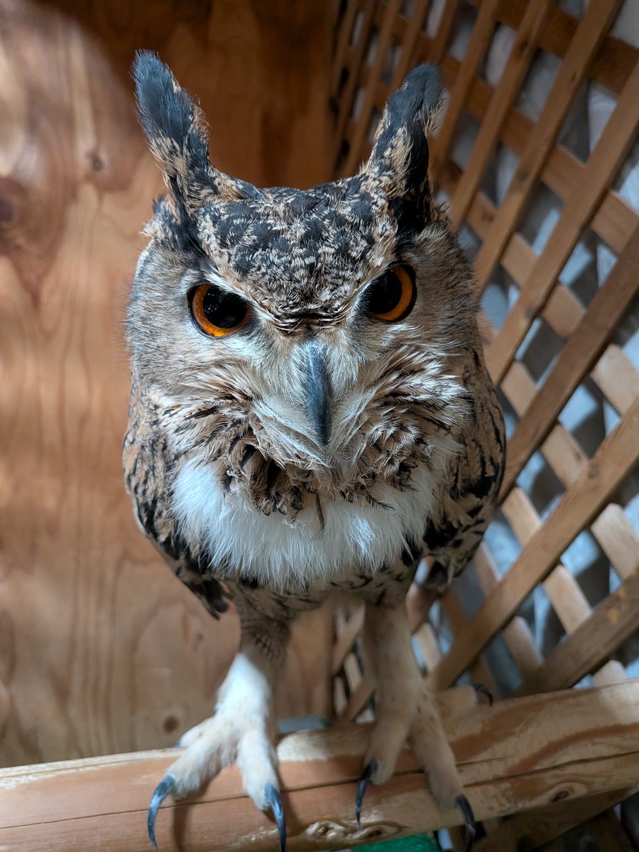 ただいま〜。ご飯持ってくるから、もう少し待っててね