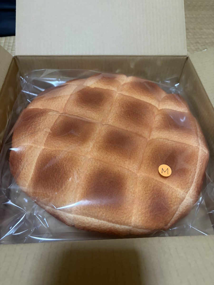 マリさんベーカリーさん(@marisan_bakery )からメロンパンの帽子が届い