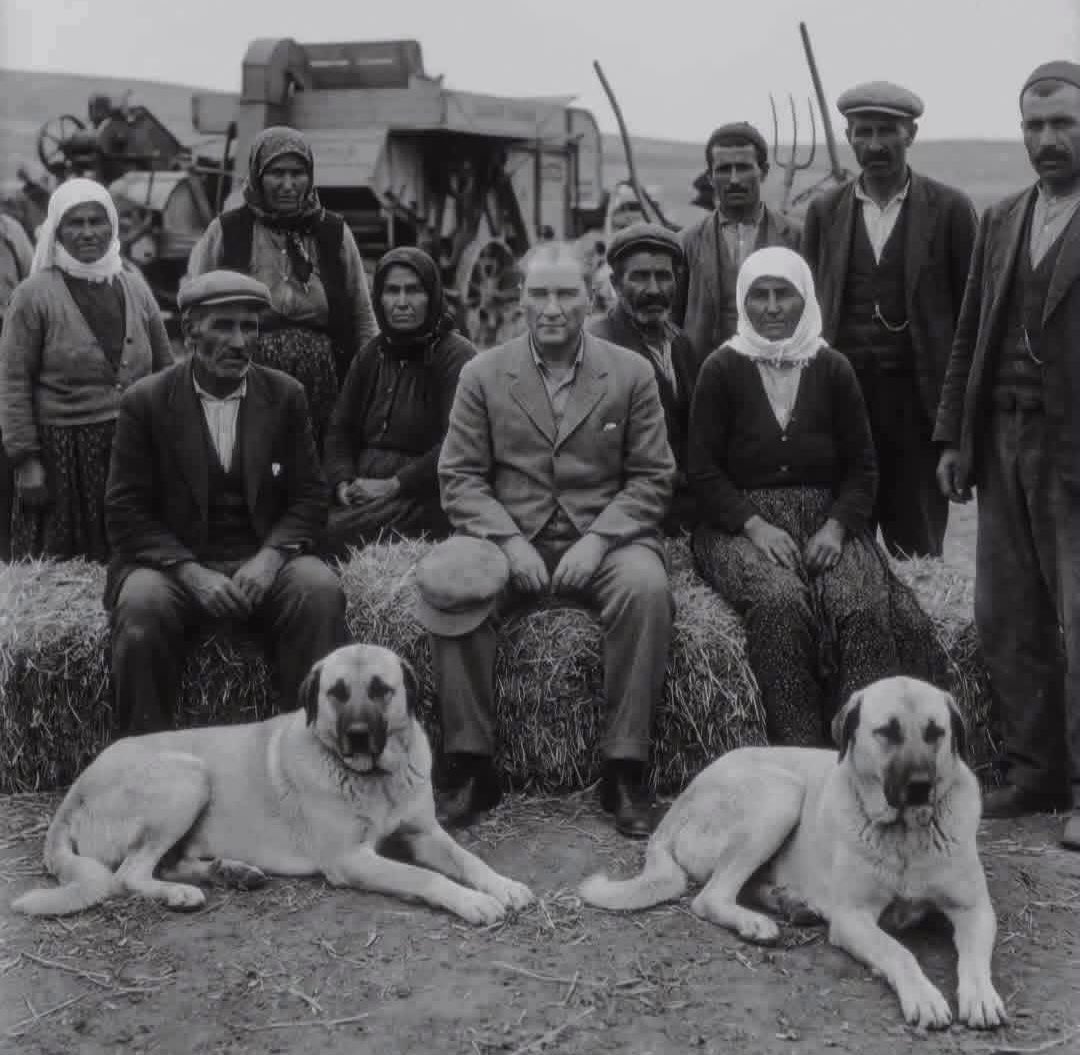 Bir paylaşımda gördüm bunu. Küllerinden doğan bir memleketin mono fotoğrafı.. Hüzünlü, yorgun ama gururlu ve kararlı bir vatanın nasırlı elleri var bu fotoğrafta. Bağlar niye koptu, Anadolu’yla köprümüz niye hasar gördü bilmiyorum. Bildiğim tek şey birlikte bir vatan olduğumuz