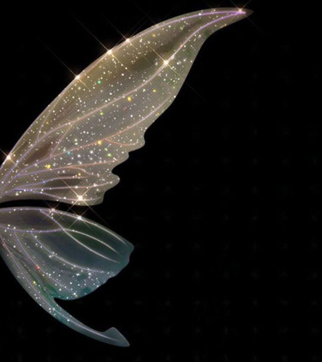 marblxom's tweet image. 𓆩🖤𓆪 #MARTIN #마틴