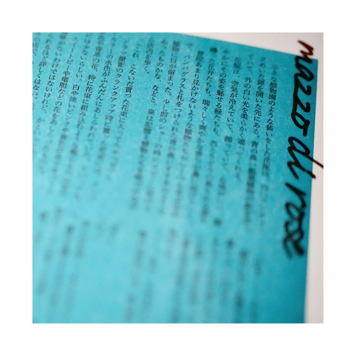 ようさんとのりついずペーパーチラ見せ🫣💫✨