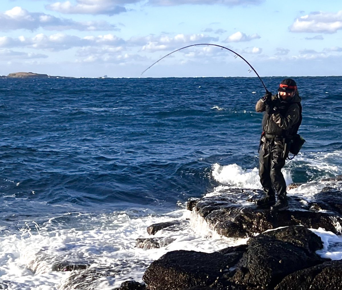 スギハラ(fimoリーダー) tweet media