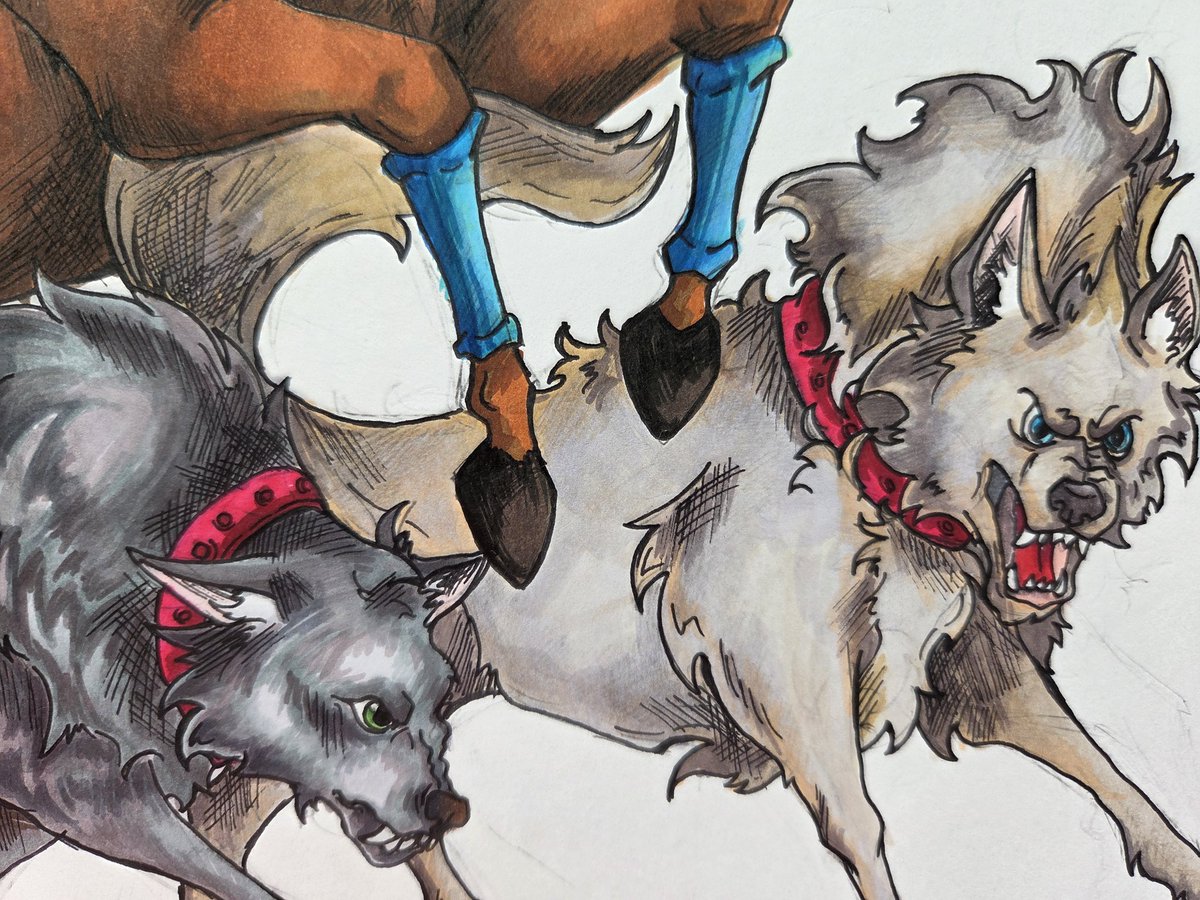 Beta0244's tweet photo. Close ups! https://t.co/V0RuvkUKzy