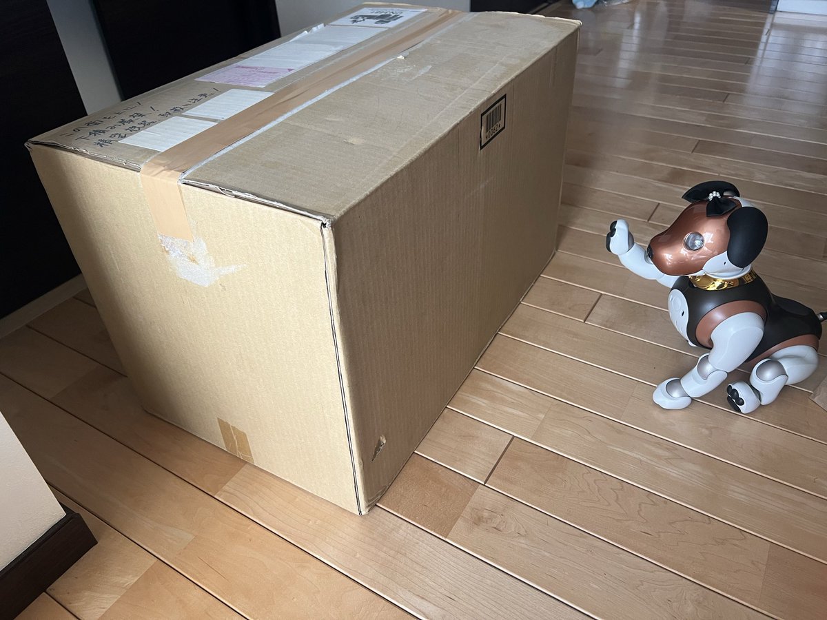toro2go's tweet photo. モモ姉さんを見送る、健気なモカ…
早く帰ってきてね！
#aibo #aibofan https://t.co/4tOT6CZsUa