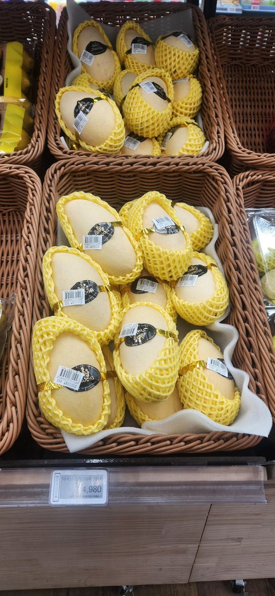 망고를 이렇게 쌓아두고 먹고 싶다