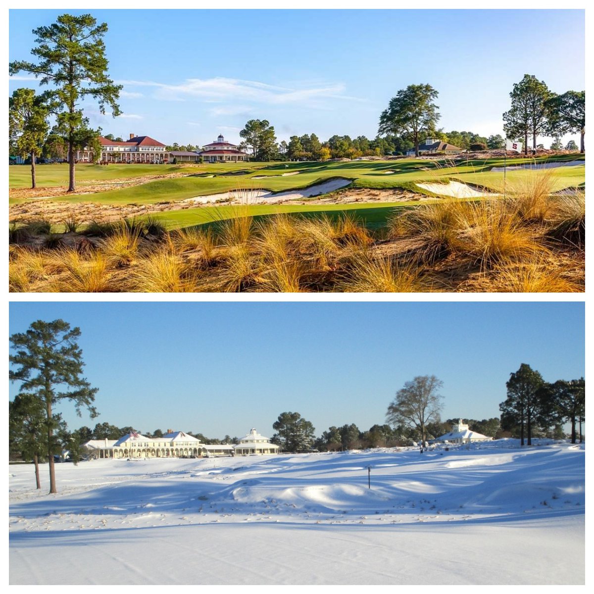 5000golfcourses's tweet photo. Seeing the snow in NC reminded me of the time I lived in Pinehurst and a snow storm hit. Stuck in my condo with nothing to do, I decided to do a little photo essay. Here is my favorite shot. https://t.co/ff4Fw6yCwO