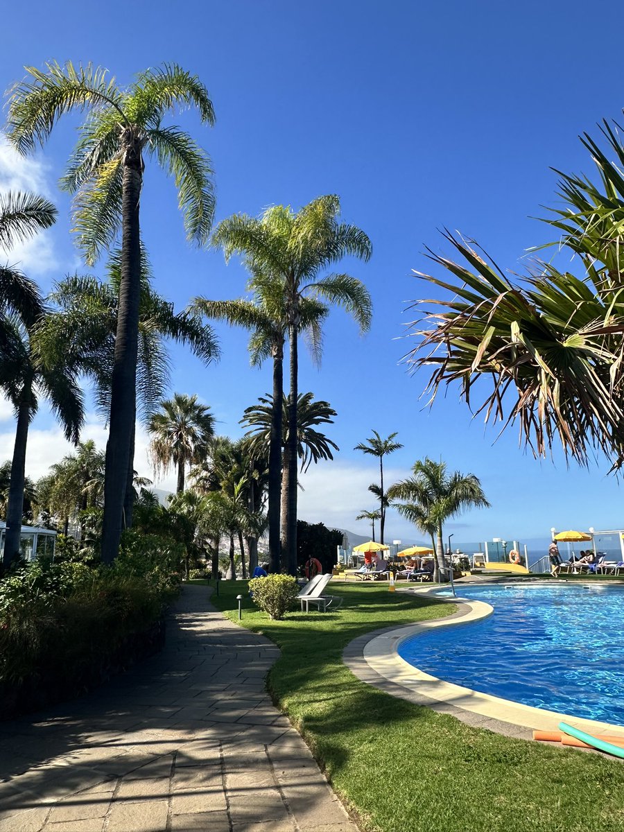 Bienvenido febrero ☀️