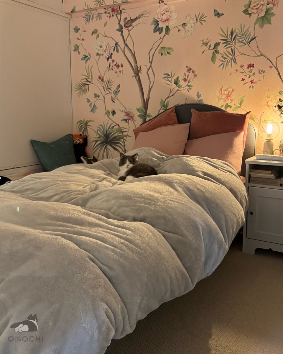 くしゃみしてたら迷惑そうにこっち見てきた