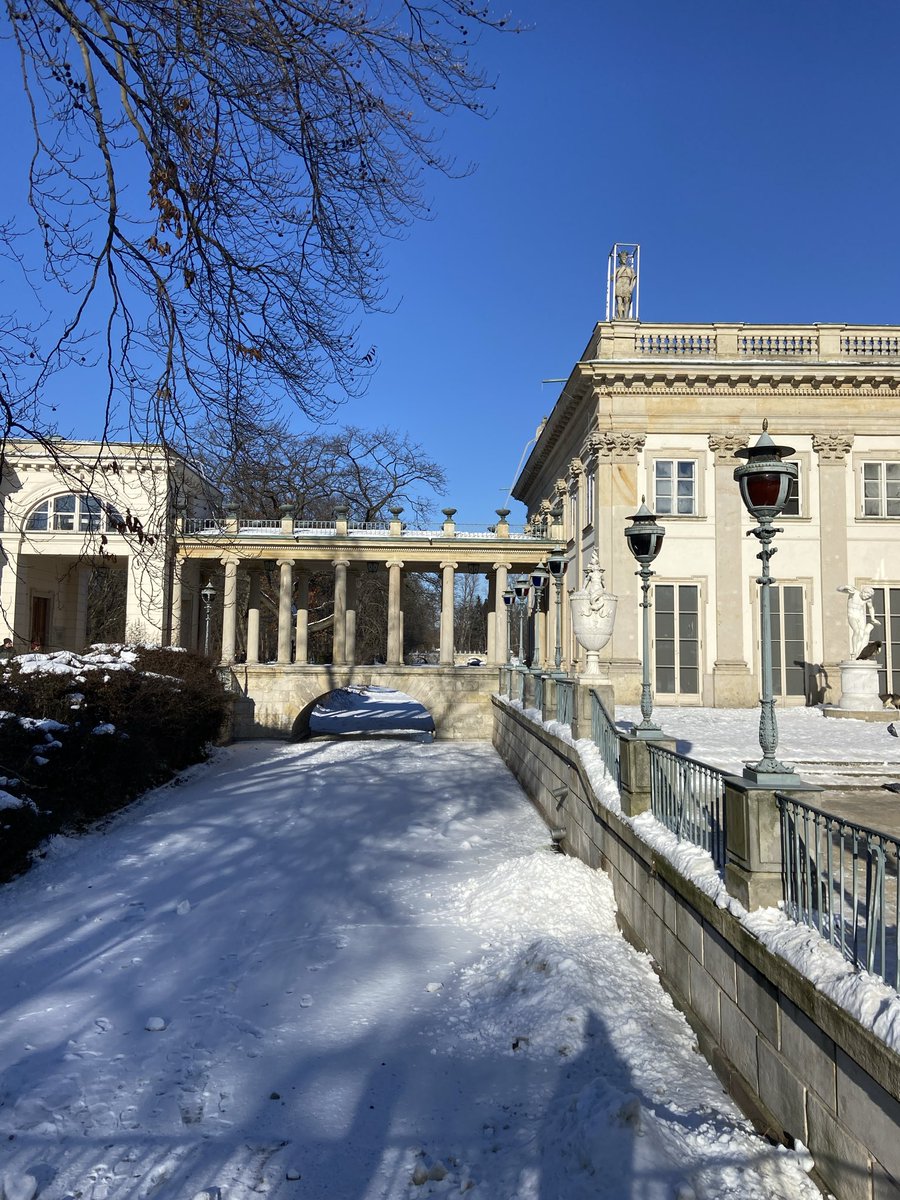 Miguel Berger tweet media