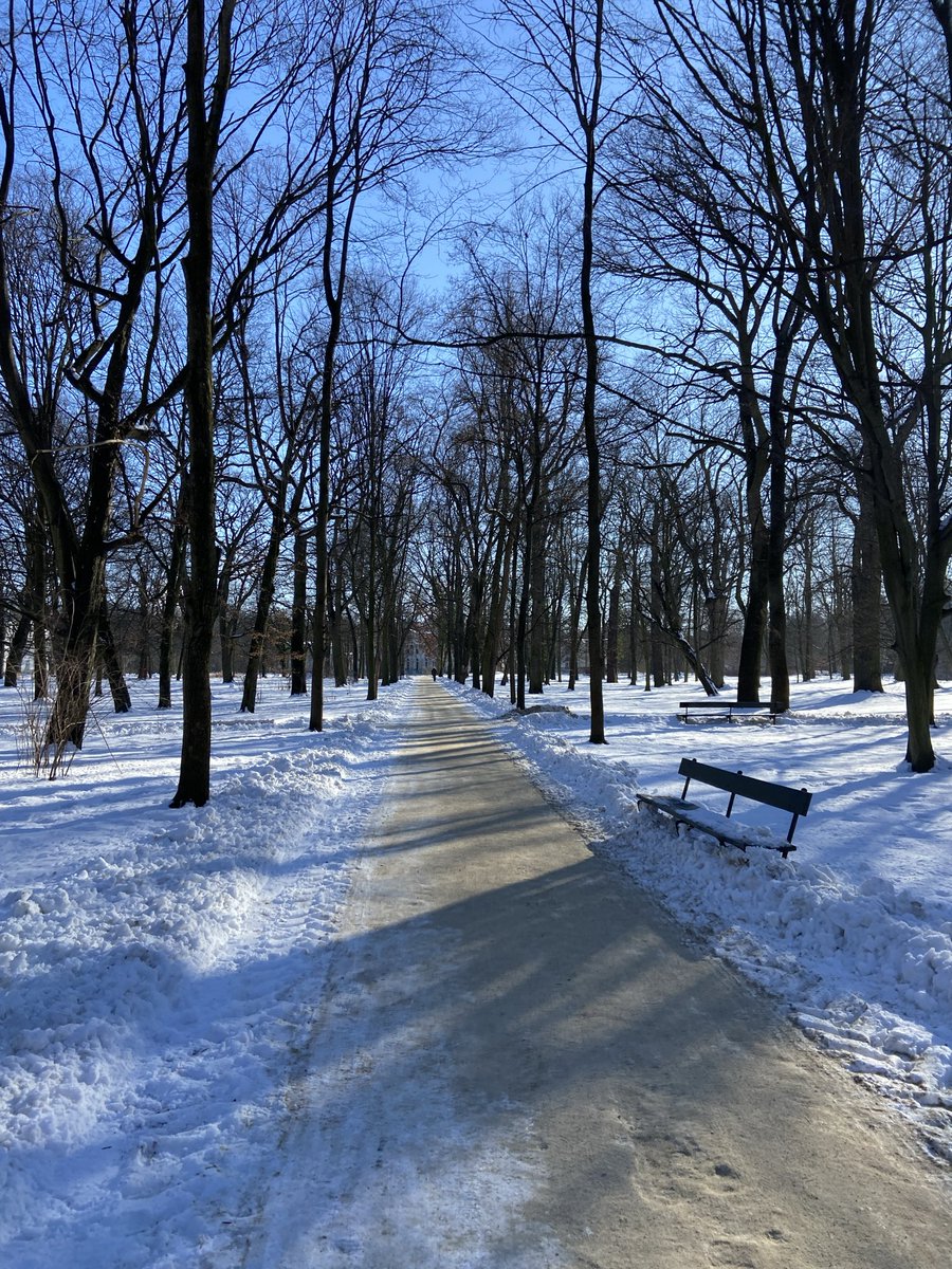 Miguel Berger tweet media