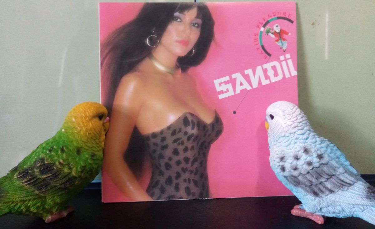 KuniyanBudgie's tweet photo. #NowPlaying #なうぷれ
#SANDII 『EATING PLEASURE』 (1980/1994)
♪ 「JIMMY MACK」
https://t.co/Ap8HqAG5MB
#サンディ
#細野晴臣 #久保田麻琴 https://t.co/jRQckwMjpw