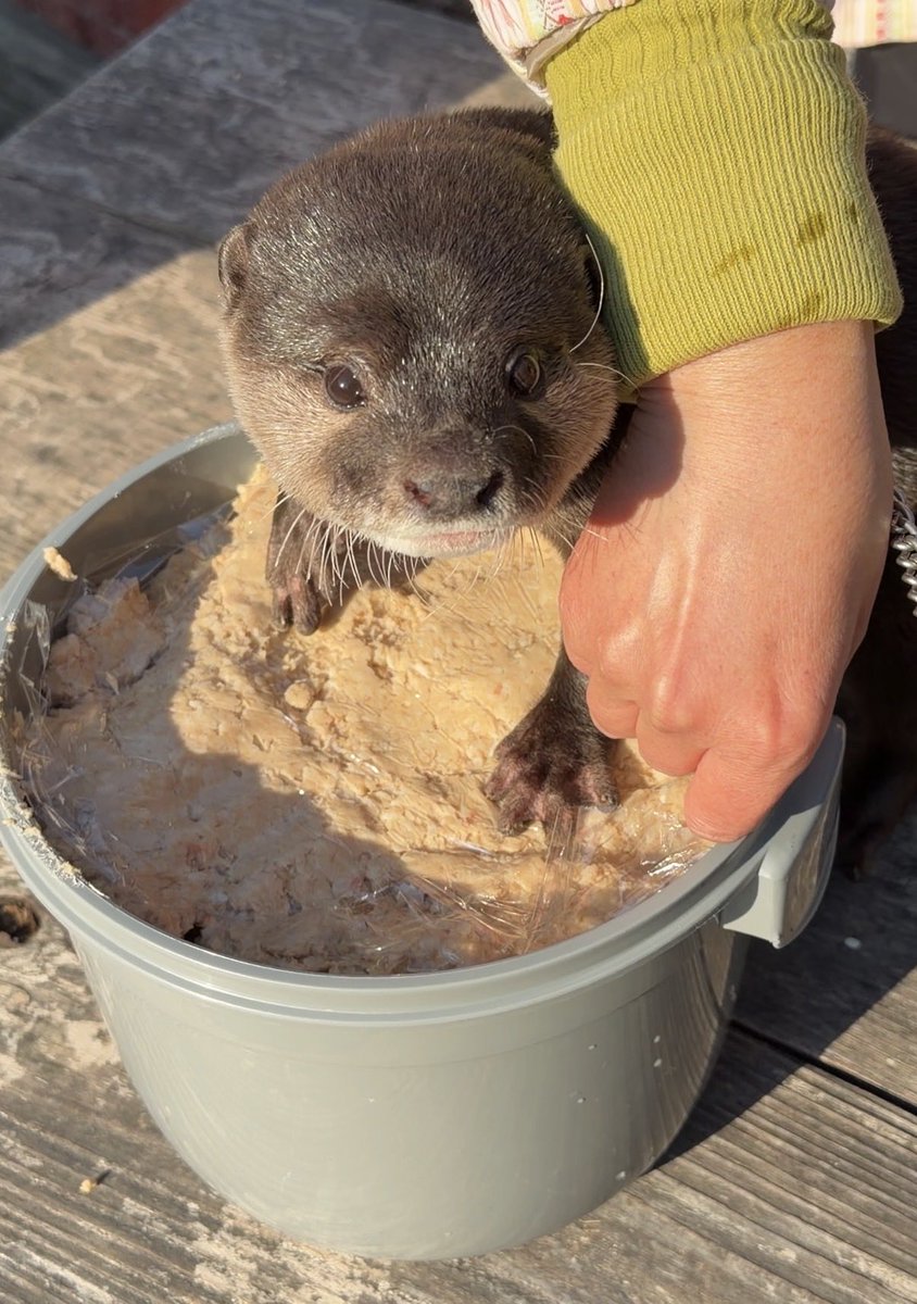 aty (@aty06203834) / Posts / X