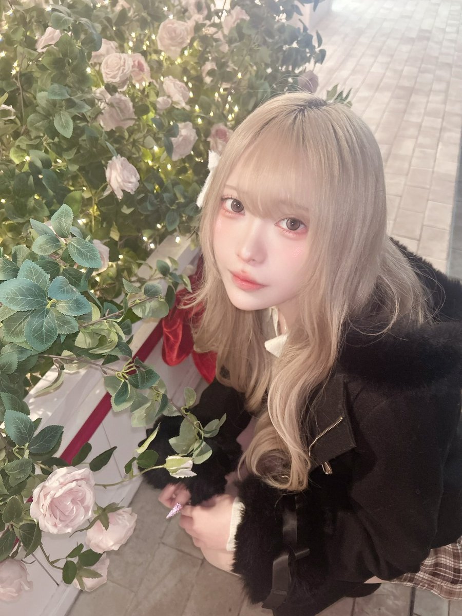 にゃんもな (@uxvqc) / Posts / X